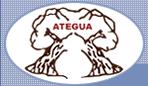 Horario de apertura MUEBLES DE OLIVO ATEGUA S.C.A, Castro del Río