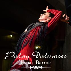 Palau Dalmases Espay Barroc en Barcelona (Ciutat Vella) - Horario de apertura