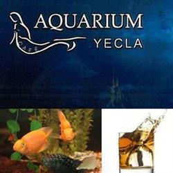 Horario de apertura Aquarium Café, Yecla