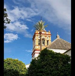 Horario de apertura la Plaza S.L., Sanlúcar la Mayor