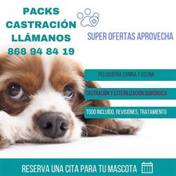 Horario de apertura Centro Veterinario Mister Perro, Sangonera la Verde