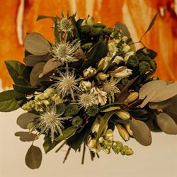 Horario de apertura Floristería SA Morera, Manacor