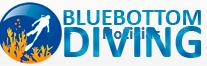 Horario de apertura Blue Bottom Diving S.l., Arona