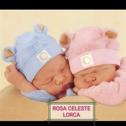Horario de apertura Rosa Celeste, Lorca