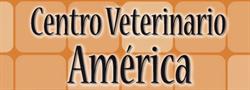 Horario de apertura Centro Veterinario Avenida de America, Teruel