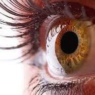 Optica Espinosa de los Monteros en Córdoba (Centro) - Horario de apertura