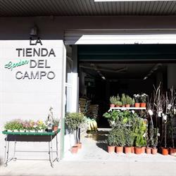 Horario de apertura la Tienda del Campo, Requena