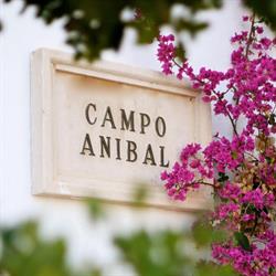 Horario de apertura Restaurante Campo Anibal, El Puig de Santa Maria