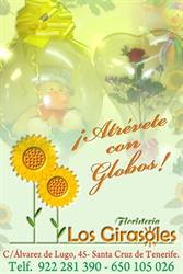 Horario de apertura Floristería Los Girasoles, Santa Cruz de Tenerife