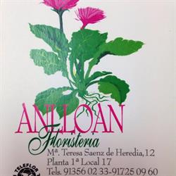 Horario de apertura Anlloan Floristería, Madrid