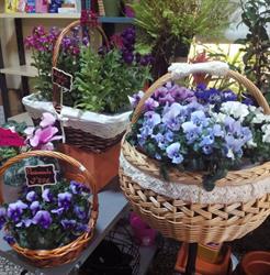 Horario de apertura Floristería y Regalos Tere, Los Navalmorales