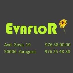 Evaflor en Zaragoza (Distrito Universidad) - Horario de apertura