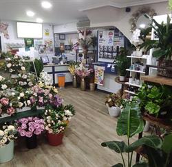 Horario de apertura Floristería Y Loterías Soraya, Jaraiz de la Vera