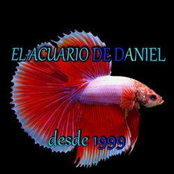 Horario de apertura El Acuario de Daniel, Cangas