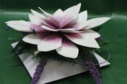 Floristas Visol en Zaragoza (Centro) - Horario de apertura