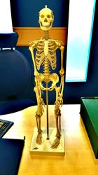 Centro de Fisioterapia en Gijón (Oeste) - Horario de apertura