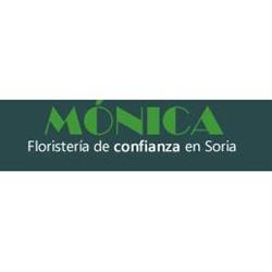 Horario de apertura Floristería Mónica, Soria