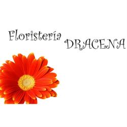 Horario de apertura Floristería Drácena, Ourense