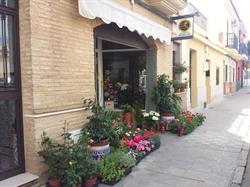 Horario de apertura Floristería Benítez, Aljaraque