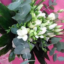 Hernandez Floristas en Málaga (Carretera De Cádiz) - Horario de apertura