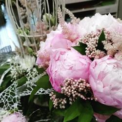 Horario de apertura Floristería María, Verín