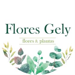 Horario de apertura Flores Gely, Gijón