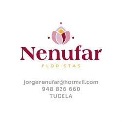 Horario de apertura Floristería Nenúfar, Tudela