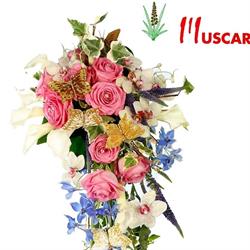Horario de apertura Muscari, Alcalá de Henares