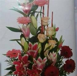 Horario de apertura Floristería Morales, Arcos de la Frontera
