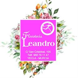 Horario de apertura Floristería Leandro, Yecla
