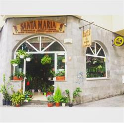 Horario de apertura Santa Maria Flores y Plantas, Las Palmas de Gran Canaria