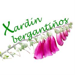 Horario de apertura Xardín Bergantiños, San Roque