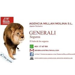 Horario de apertura Agencia Millán Molina S.l., Motril