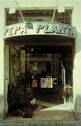 Horario de apertura Floristeria Pepa Planta, Bellpuig