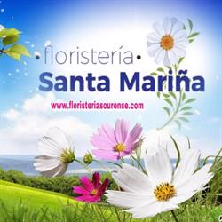 Horario de apertura Floristería Santa Mariña, S.l., Ourense