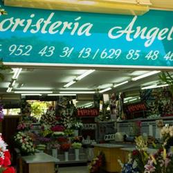 Floristería Ángeles en Campanillas (Campanillas) - Horario de apertura