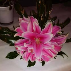 Horario de apertura Floristería Jazmín, Torreperogil
