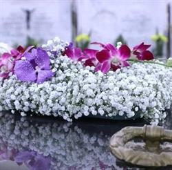 Horario de apertura Floristería Tin, Güímar