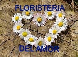 Horario de apertura Floristería Del Amor, Ceuti