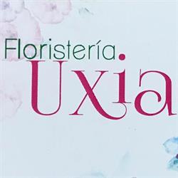 Horario de apertura Floristería Uxia, Santiago de Compostela
