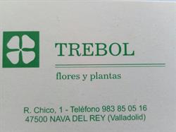 Horario de apertura Trébol Floristería, Nava del Rey