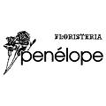 Horario de apertura Floristería Penélope, Lugo