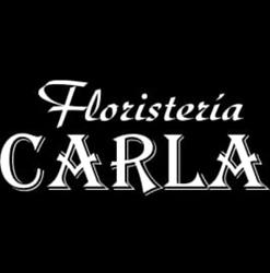 Horario de apertura Tanatorio San Martín - Carla Floristería, Abelendo