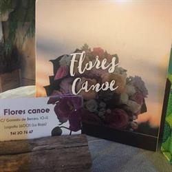 Horario de apertura Floristeria Canoe, Logroño