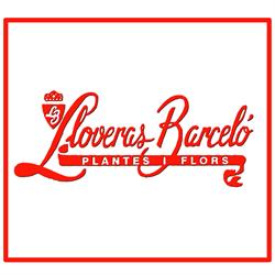 Floristeria Lloveras Barcelo en Barcelona (Sants-Montjuïc) - Horario de apertura