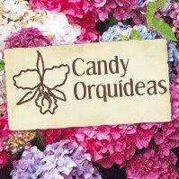 Horario de apertura Nana Vivero - Orquídeas, plantas, paisajismo y decoración, Monte Lentiscal
