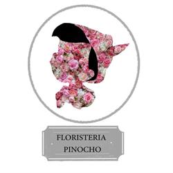Horario de apertura Floristería Pinocho, Huércal-Overa