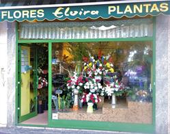 Horario de apertura Flores Elvira, Madrid