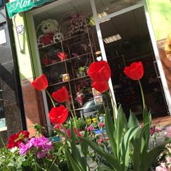 Floristeria Dori en Granada (Zaidín) - Horario de apertura