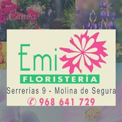 Horario de apertura Floristería Emi, Molina de Segura